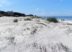 Georgia barrier islands | Life Traces of the Georgia Coast